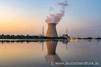 Energieversorgung - Gesamtmetall-Präsident Wolf für Bau neuer Atomkraftwerke - Deutschlandfunk