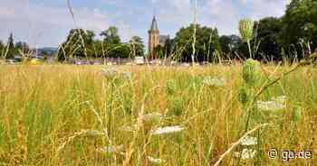 Sinzig: Aufsichtsbehörde soll beurteilen, ob Bau in Kölner Straße möglich ist​ - General-Anzeiger Bonn