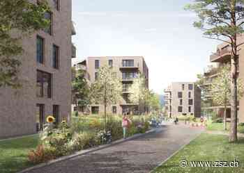 235 Wohnungen in Adliswil – Der Bau der Swiss-Re-Siedlung rückt näher - Zürichsee-Zeitung