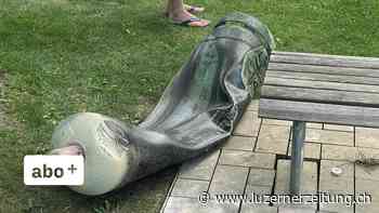 Nach Horwer Explosion: Reaktionen von Kita Waldfee und Amberg Bau - Luzerner Zeitung