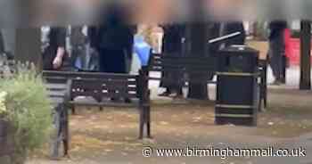 Moment youth wields wooden pole outside Solihull Cote restaurant during disorder - Birmingham Live