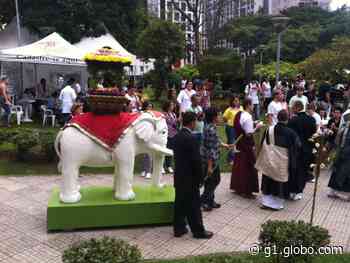São José dos Pinhais realiza tradicional festa da cultura japonesa neste fim de semana; confira - g1.globo.com