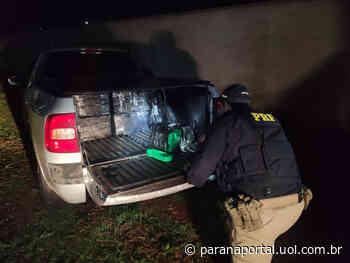 Polícia apreende 300 kg de maconha em Santa Terezinha de Itaipu - Paraná Portal