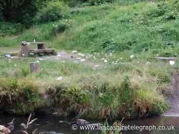 Bolton: Mother and daughter clean up after teens barbecue at popular picnic spot