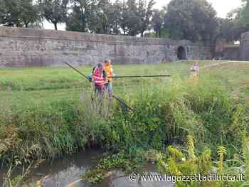 Lucchesia, partite all'alba le prime operazioni del Sabato dell'Ambiente - La Gazzetta di Lucca