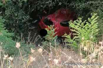 Terribile incidente all'alba sulla 16 bis, morta una giovane biscegliese - BisceglieViva