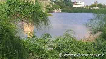 Recientes lluvias reverdecen Hermosillo - EXPRESO