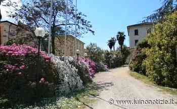 Luino Corsi, al via le iscrizioni: yoga, enigmistica, difesa personale, foto e tanto altro - Luino Notizie