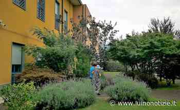 Mons. Comi di Luino: come riconoscere i primi segnali di Alzheimer - Luino Notizie