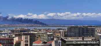 Incendi: rogo Parco Molentagius Cagliari, danni ad azienda - Sardegna - Agenzia ANSA