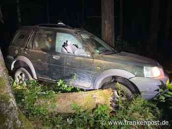 Rasante Verfolgungsjagd - Flucht vor Polizei endet im Wald - Frankenpost