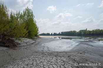 Siccità: Vercelli, contrasto ai prelievi abusivi d'acqua - Piemonte - Agenzia ANSA