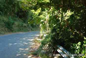 Messina, degrado sulla SP 136. Il Comune di Ucria alza la voce: “la Città Metropolitana ignora le diffide” - StrettoWeb