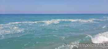 Messina. Scie in mare, l’Amam: “Sono alghe decomposte” - Tempo Stretto