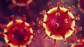 Coronavirus Cases Worldwide Surpass 576 Mln - See