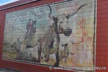 HBO TV series mural approval didn't set precedent, says Olds planner - Mountain View TODAY