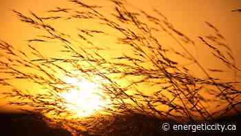 Dawson Creek breaks another daily high temperature record - Energeticcity.ca