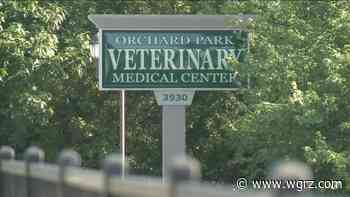 Orchard Park Veterinary Medical Center workers voted to unionize - WGRZ.com