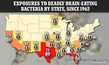 Brain eating amoeba are hiding in rivers and lakes throughout America this summer - Daily Mail