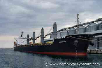 Zelenskyy visits port as Ukraine prepares to ship out grain - Comox Valley Record