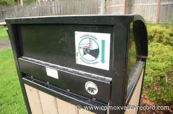 Fruit still an issue for attracting bears in Cumberland - Comox Valley Record