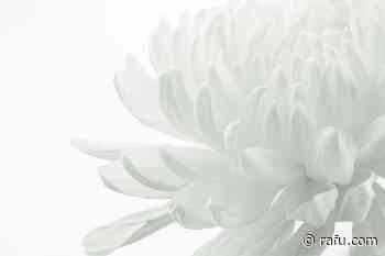 Lorraine Toshiko Farrar - The Rafu Shimpo