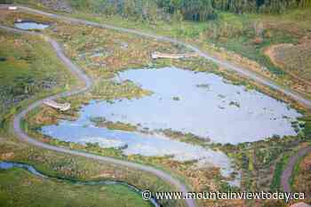 Pedestrian connectivity plan for Didsbury in the works - Mountain View TODAY