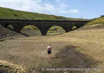 National hosepipe ban needed as UK drought looms, experts warn