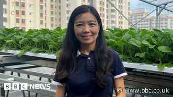 How Singapore is turning multi-storey car parks into farms