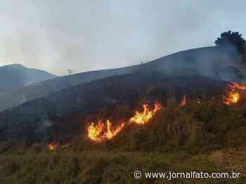 Incêndio consome vegetação às margens da Rodovia ES 379 em Muniz Freire - Jornal Fato