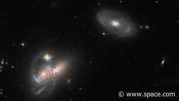 Galactic diversity captured in new Hubble telescope photo