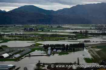 Ranking atmospheric rivers premature, says Environment Canada, months after B.C. vow - Nanaimo Bulletin