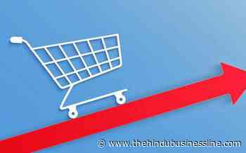 FMCG sector makes big gains on e-commerce channels during pandemic - BusinessLine