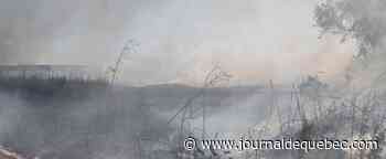 Un entrepreneur céréalier ukrainien connu tué dans une frappe à Mykolaïv