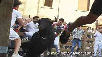 El último encierro de Tudela iguala al del jueves como el más rápido de las fiestas - Noticias de Navarra
