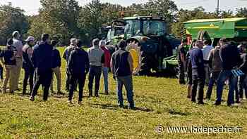 Caussade. Prairies, sursemis et réduction du travail du sol - LaDepeche.fr