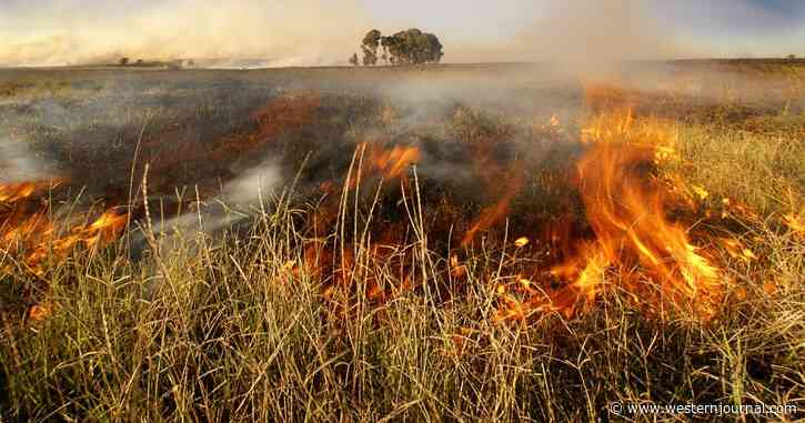 Watch: Hero Farmer Sees Massive Crop Fire - Gets in His Tractor and Does the 1 Thing He Knew to Do