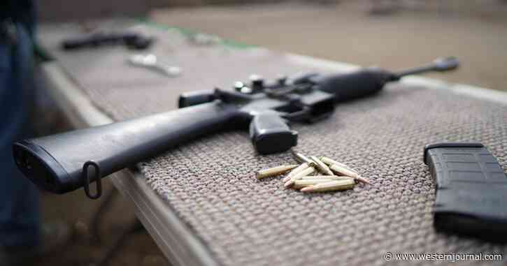 These 2 Republicans Voted for Radical 'Assault Weapons' Ban