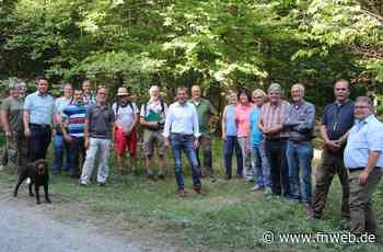 Die Eiche ist die neue Buche - Fränkische Nachrichten