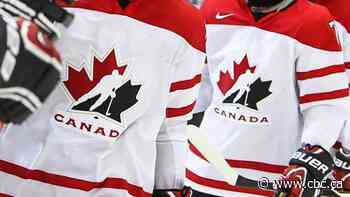 'Everyone seems to think it will stop by itself': Hockey parents frustrated by sport's toxic culture