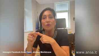 Incendio Carso, la sindaca di Monfalcone: "Non uscite di casa" - Italia - Agenzia ANSA