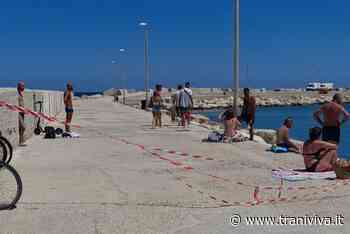 Fuochi d'artificio sul braccio, il comitato Feste Patronali: "L'area è sotto controllo" - TraniViva