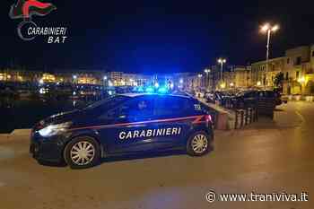 Fine settimana a Trani, movida sicura con i controlli straordinari dei Carabinieri - TraniViva