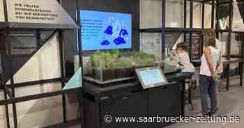 MS Wissenschaft zeigt in Merzig wie Forschung funktioniert - Saarbrücker Zeitung