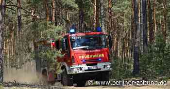 Waldbrand bei Bad Saarow: Feuerwehr ist im Großeinsatz - Berliner Zeitung