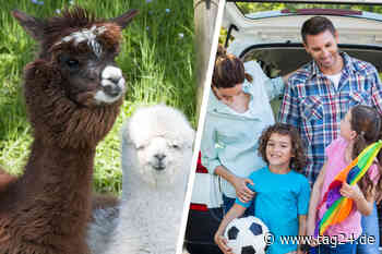 Dresden: Sechs Tipps zum Wochenende - Das bieten die letzten Juli-Tage - TAG24