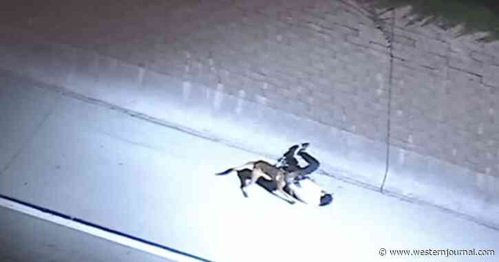 K-9 Takes Down Armed Man After Bearcat Rams Stolen Truck in Insane Chase Footage