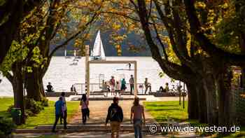 Essen: Alarm am Baldeneysee! Menschen machen das – „Mutig“ - DER WESTEN