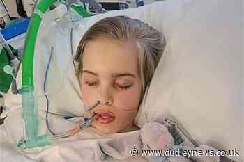 Government intervention over withdrawal of Archie Battersbee's treatment - Dudley News