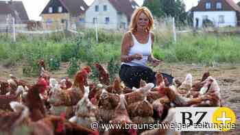 So lebt es sich für Hühner in einem Hühnermobil in Emmerstedt - Braunschweiger Zeitung